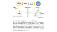 順天堂大学とシスメックス、AIにおける深層学習技術を用いて血液疾患鑑別が可能な「統合型AI分析システム」を構築