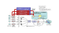 東大・早大・富士通・日立、プライベートLTEやローカル5Gの利用促進に向けて無線周波数利用効率を向上する技術を開発