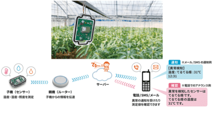 KDDIウェブコミュニケーションズ、畑の温湿度や照度の異常を検知し農業生産者へ通知する農業IoT「てるちゃん」をリリース