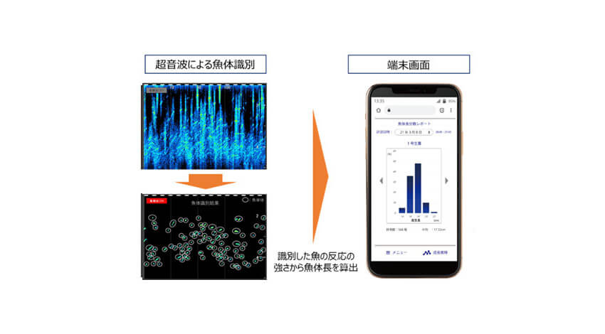 ドコモとアクアフュージョンがスマート水産業分野で業務提携、超音波式水中可視化技術を活用した新たな養殖管理モデルを確立