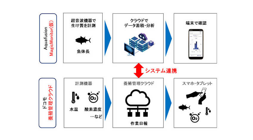 ドコモとアクアフュージョンがスマート水産業分野で業務提携、超音波式水中可視化技術を活用した新たな養殖管理モデルを確立