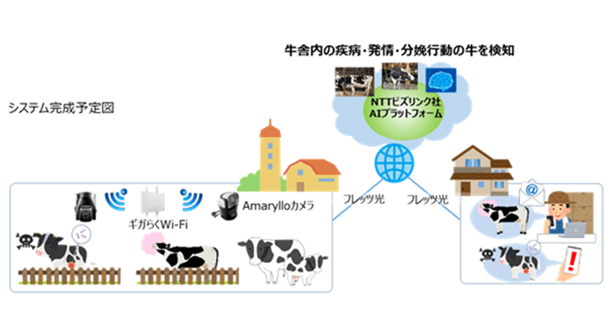 NTT東日本・NTTビズリンクなど、映像データを活用した牛の健康管理に関するAI動画像解析の実証実験を開始