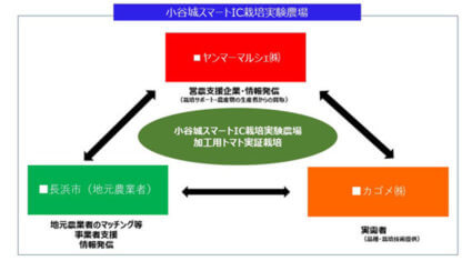 ヤンマーマルシェ・滋賀県長浜市・カゴメ、官民連携でスマートIC栽培実験農場における加工用トマトの実証栽培を開始