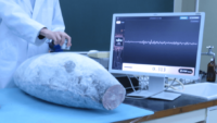 富士通、東海大学と共同で冷凍マグロの鮮度を判定する超音波AIを開発
