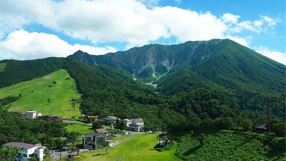 オークファン、鳥取県・大山町にRPAツール「オークファンロボ」を提供し自治体の業務効率化に成功