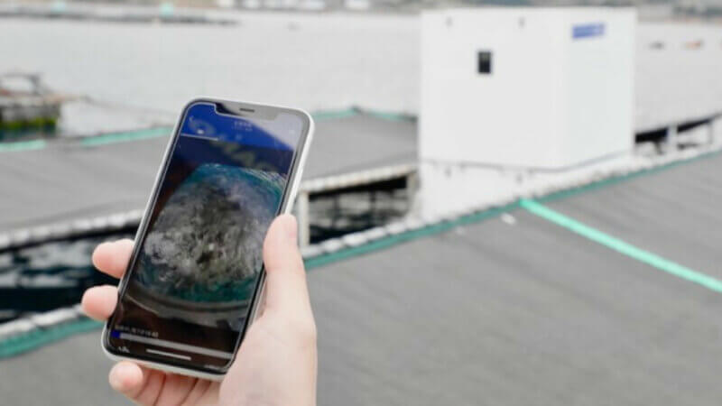 ウミトロンなど、AI搭載のスマート給餌機「UMITRON CELL」をくら寿司の養殖事業に導入開始