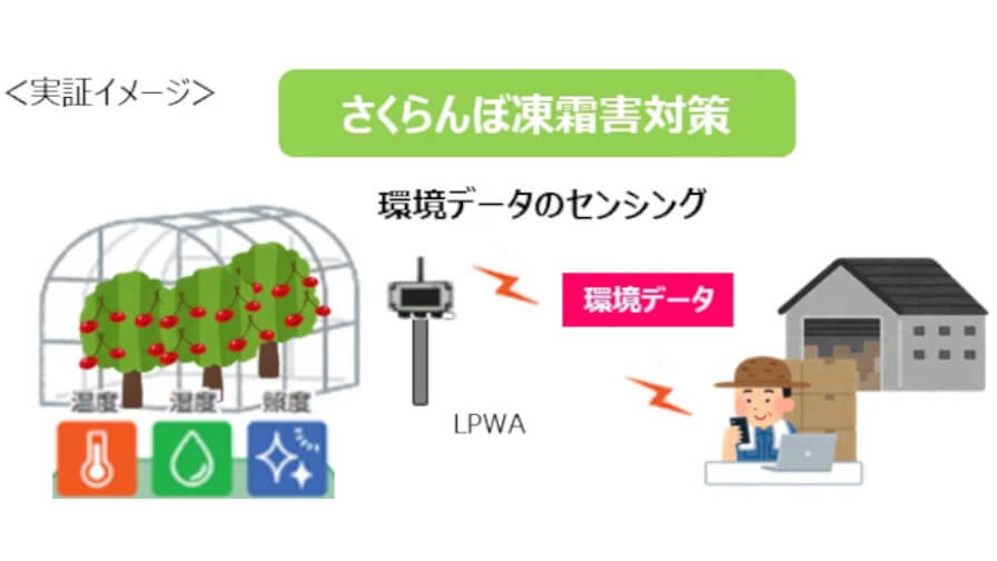 NTT東日本と寒河江市、農業分野におけるLPWA活用モデルの普及促進に向けた実証実験を開始