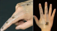 横浜国立大学・GMOペパボら、ストレッチャブルデバイスとAIを統合した動作認識スマートシステムを開発