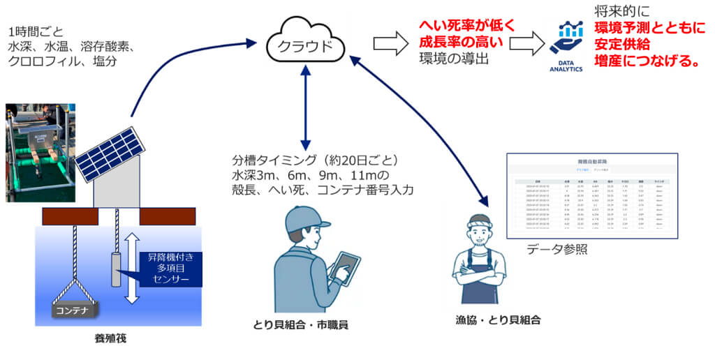 京都府舞鶴市とKDDI他、丹後とり貝の海洋環境をIoTセンサで見える化する実証を開始