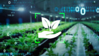 ARN、AIとIoTを活用し空き家を再利用した植物工場事業を開始
