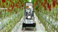 IoT人気記事ランキング｜デンソー、自動収穫ロボット「Artemy」を開発など[7/1-7/7]