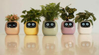 Real style、観葉植物とコミュニケーションがとれるスマートプランター「Ivy」を先行発売