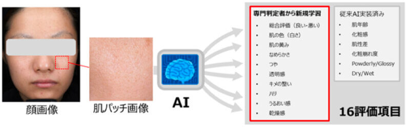 花王、ヒトの視点・判断で肌の色や質感を予測する「Kirei肌AI」を開発