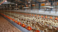 YE DIGITAL、飼料残量管理ソリューション「Milfee」を導入した養鶏関連輸送業者の事例を発表