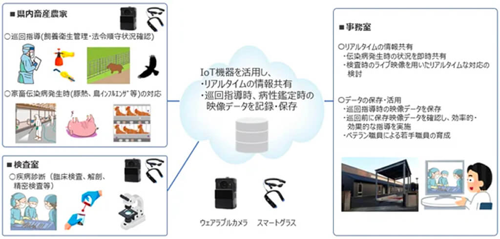 NTT東日本と神奈川県、ウェアラブル映像端末による「スマート畜産」へ向けた実証実験を実施