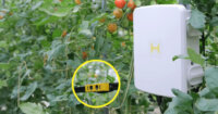Happy Quality、植物の萎れを早期発見・検知する栽培管理ツール「Wilt Watcher」を販売開始