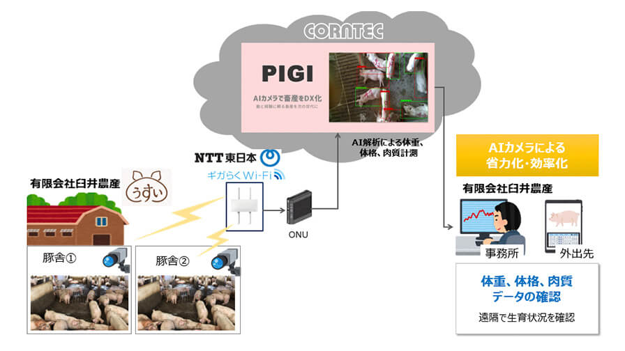 コーンテック・NTT東日本・臼井農産、AIカメラを活用した養豚の体重・体格・肉質測定の実証実験を開始