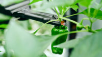 AGRISTとタカミヤ、ロボットとAIを活用した自動化農業システムパッケージ「Sustagram Farm」を発表