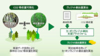 日立システムズ、衛星データ活用で森林のCO2吸収量を可視化しカーボンクレジット創出量を算出する実証実験に成功