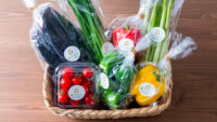 ルートレック・ネットワークス、AI潅水施肥システム「ゼロアグリ」を活用した野菜ブランドの実証販売を開始