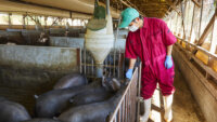 キリシマドリームファーム、YE DIGITALの飼料タンク残量管理「Milfee」導入で残量確認を月42時間削減