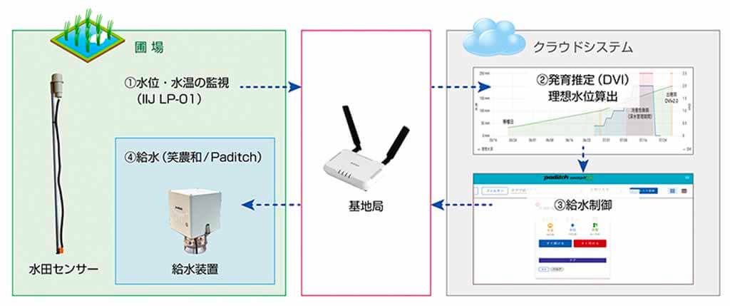 IIJ、発育指数に基づき水田の水管理を自動化する技術を開発