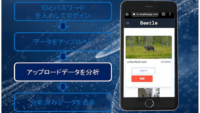 モルフォAIソリューションズ、AIの簡易検証をノーコードで実行できる「Beetle（仮称）」のトライアル版を提供開始