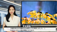 琉球朝日放送とNEC、多言語対応のAIアナウンサーを活用した番組制作の取組を開始