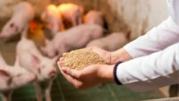 YE DIGITALとEco-Pork、飼料タンク残量管理システムと養豚経営管理システムを連携