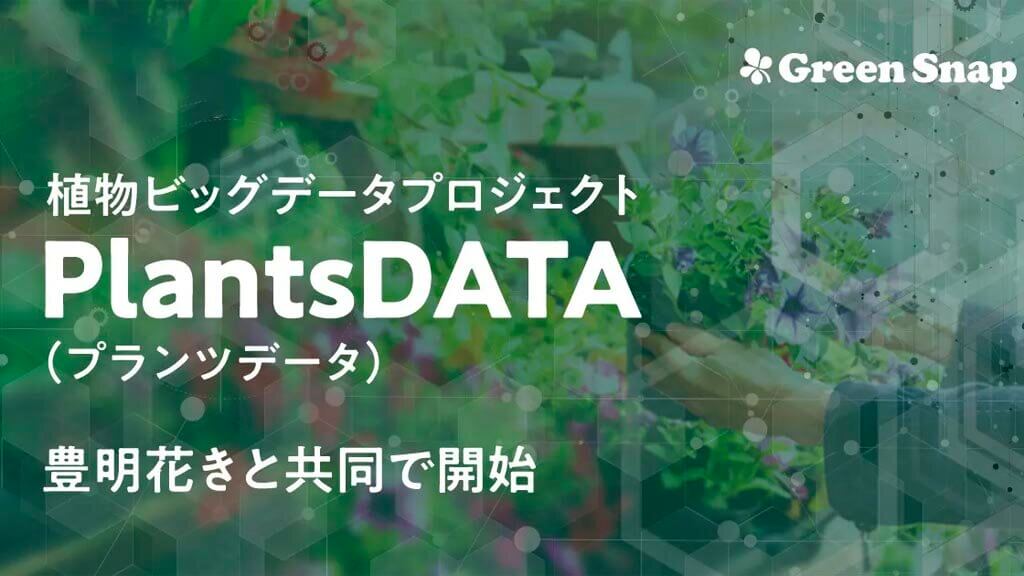 GreenSnapと豊明花き、植物ビックデータプロジェクト「PlantsDATA」を共同で開始